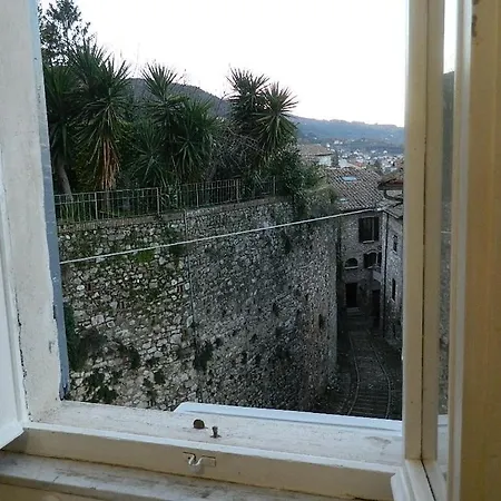 Alma Blu Νάρνη