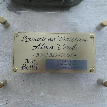 Alma Blu